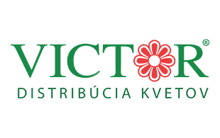 Kvety Victor