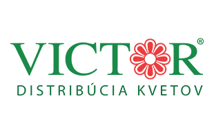 Rozumieme kvetom Kvety Victor